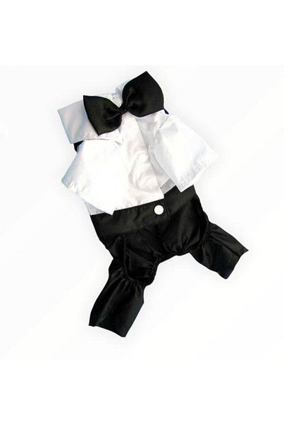 Kemique 4 - 5 Kg TuXedo Groom Suit Cat Outfit - X-Large
