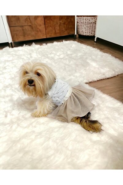 Kemique Sun Cream Duo - فستان للكلاب والملابس مع توتو