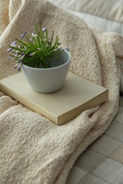 Apricitas HOME Double Piazza Beige Timeless Bedspread Duvet Cover Prime Set