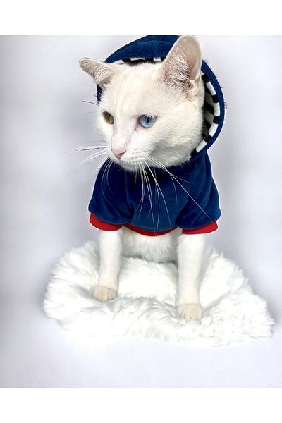 Kemique Cat Neo Tommie Cat Sweatshirt (Large 3 - 4.5 Kg)