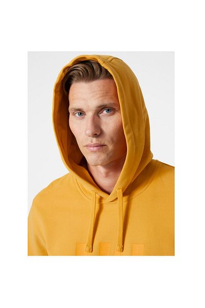 Helly Hansen Ανδρικό φούτερ με κουκούλα Hh Log