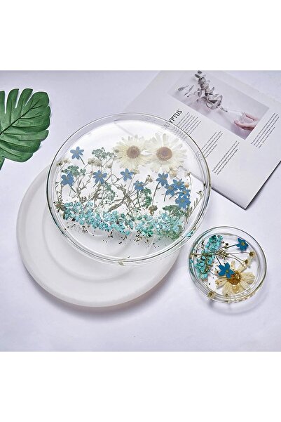 Genel Markalar Silikon Epoksi Büyük Yuvarlak Şekilli Bombeli Sunumluk ve Teps...