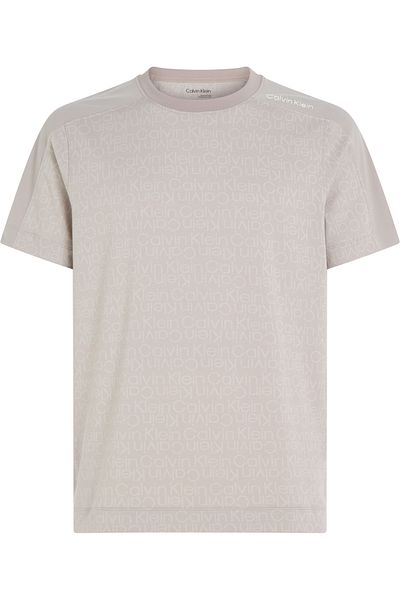 Calvin Klein Logo Print Short Sleeves T-Shirt