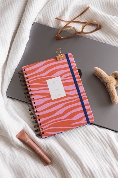 PAPERORA دفتر ملاحظات ذو نقطة مطاطية بغطاء صلب حلزوني أحمر Zebra A5