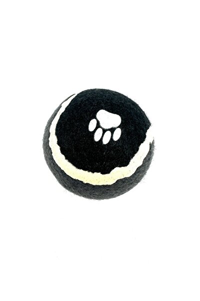 Tasma Market Kirpi Top ve Tenis Köpek Oyun Topu 2'li Set