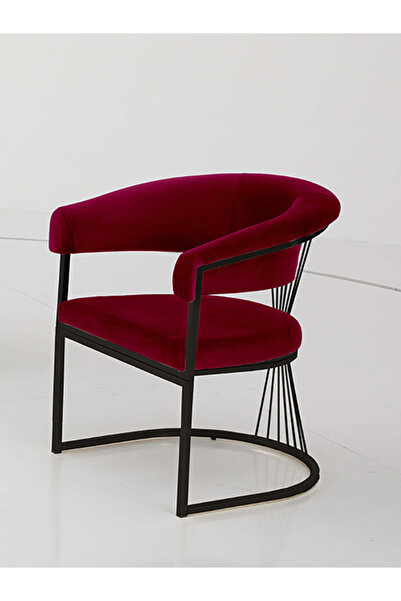 Rozexi Rio Çay Seti Tekli Koltuk Sandalye Berjer Oturma Odası Kafe Antre Hol Ofis Siyah Metal