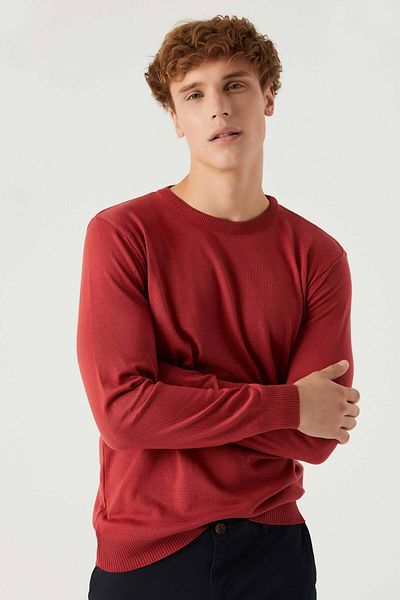 D'S Damat Regular Fit Pomegranate Flower Non-Pilling Crew Neck Knitwear Sweater