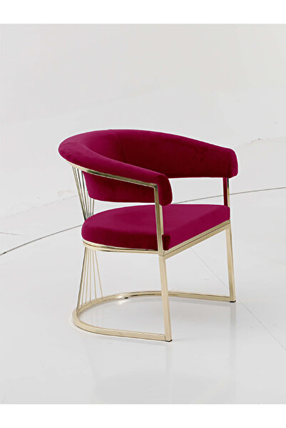 Rozexi Rio Çay Seti Tekli Koltuk Sandalye Berjer Oturma Odası Kafe Antre Hol Ofis Gold Metal