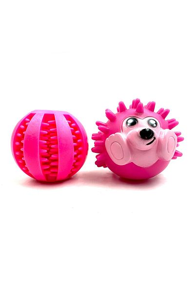 Tasma Market Reward Dog Teeth Scratching Ball with Food Storage Bowl and Hedgehog