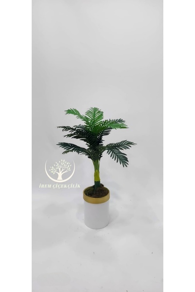 İremÇiçekçilik Beyaz Gold saksıda Küçük Yeni Areka 100 cm - Premium