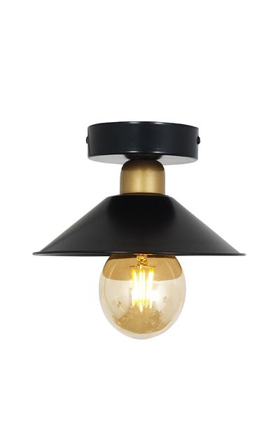 Taşcan Aydınlatma Ufo Single Black Antique Ceiling Mounted/Plafone Chandelier