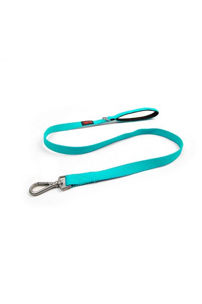 Tailpetz Turquoise Cat Dog Transport and Travel Strap