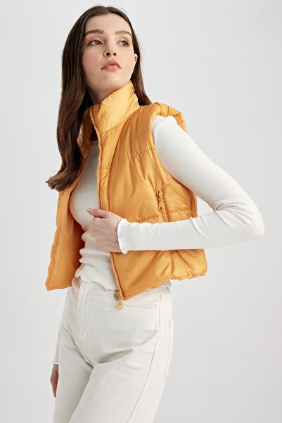 DeFacto Slim Fit Şişme Yelek Dar Kesim Dik Yaka Fermuarlı Cepli Z8656az22au