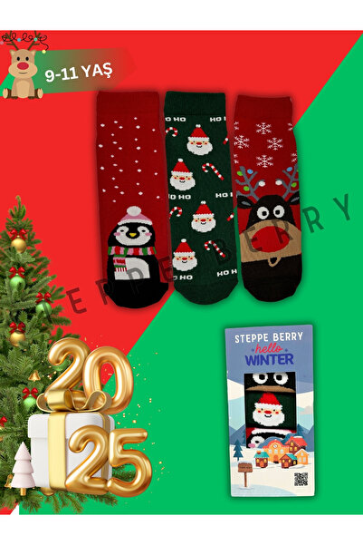 STEPPE BERRY Коледен подарък Цветни шарени детски коледни чорапи в кутия за 9-11 години