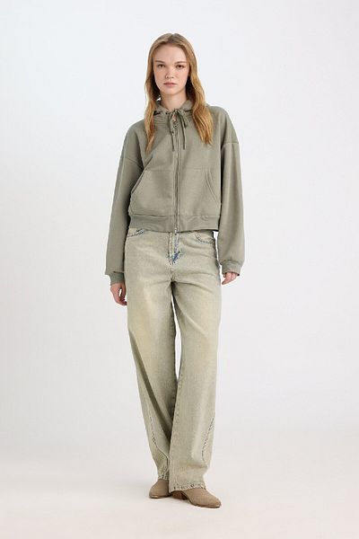 DeFacto Cool Hooded Basic φούτερ με φερμουάρ - Z7069az24wn