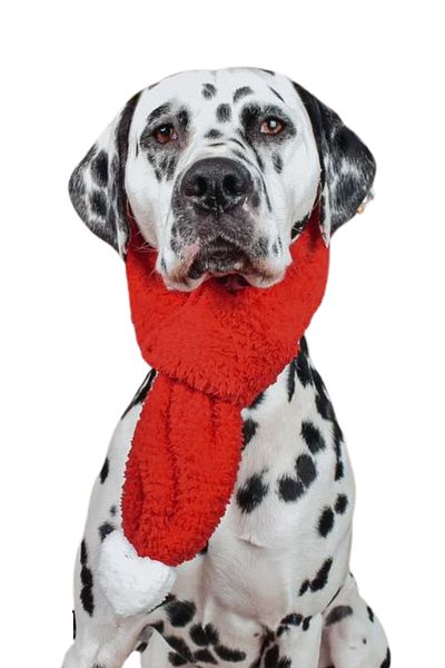 Havhav New Year's Themed Dog Accessory with Red Color Dog Neckerchief Size S m L Options
