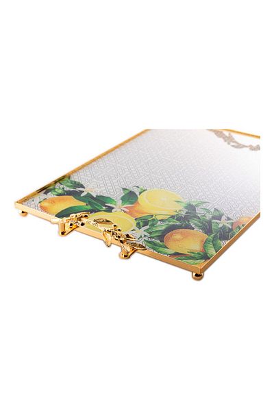Dania Decorative Tray Multicolour 47x33x6cm