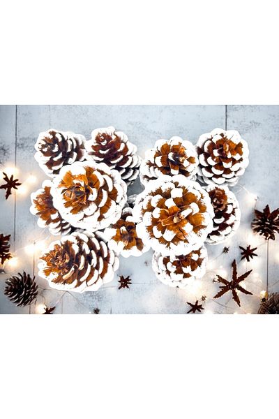 Bukiro 10 Pcs Snow Detailed Real Cone Christmas Real Cone Decor Christmas Table Ornament