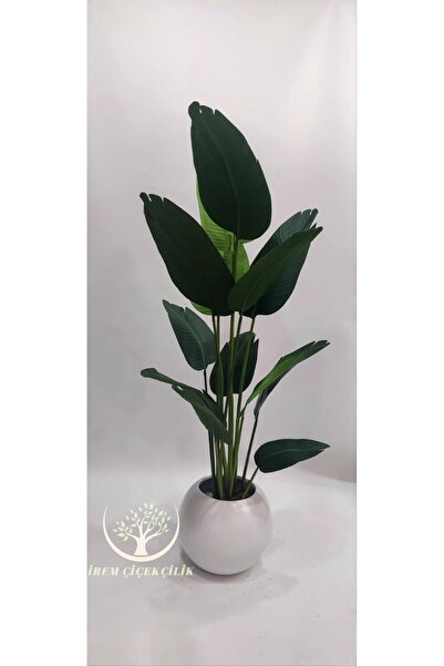 İremÇiçekçilik Beyaz Küre Karbonfiber saksıda Yeni Starliçe - Premium