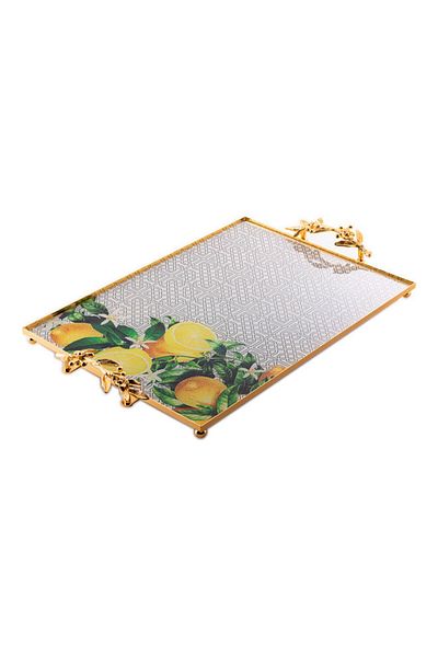 Dania Decorative Tray Multicolour 47x33x6cm