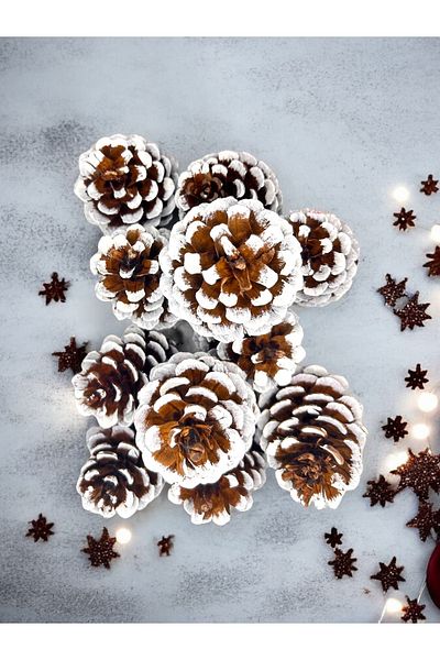 Bukiro 10 Pcs Snow Detailed Real Cone Christmas Real Cone Decor Christmas Table Ornament