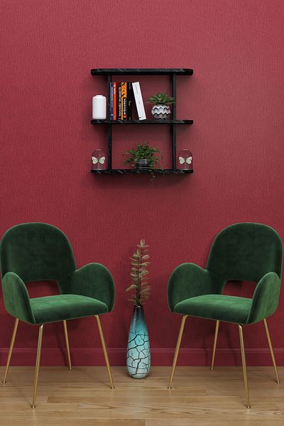 moka park avm 2-Shelf Wall Mounted Rectangular Multi-Purpose Wall Shelf