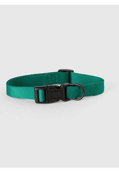 United Colors of Benetton Unisex Green Doggy Collar Dog Outfit