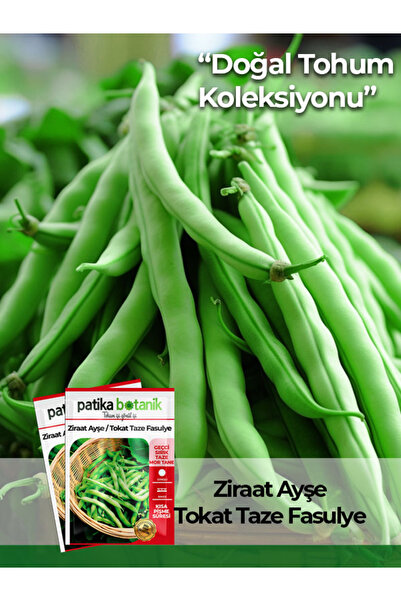 Patika Botanik 50 Adet Ziraat Ayşe Sırık Fasulye Tohumu