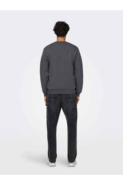 Only & Sons ONSCERES CREW NECK NOOS Grau Nadelstreifen 22018683