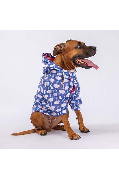 Pawstar Tonitruum Mesh Medium and Large Breed Dog Coat Dog Raincoat Dog Suit Dog Clothing
