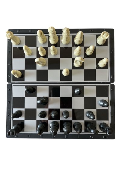 wildpanda Portable Magnetic Chess Set for Kids - for Home, School, and Travel