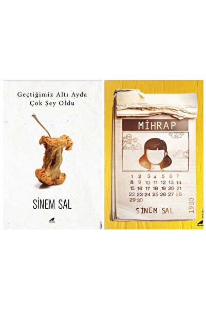 Karakarga Yayınları Mihrap-Geçtiğimiz Altı Ayda Çok Şey Oldu SİNEM SAL KARA K...