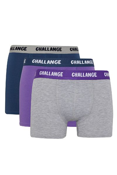 DeFacto Regular Fit 3-Pece Boxer B7958ax24sm