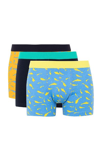 DeFacto Regular Fit 3-Pece Boxer B7185ax24sm
