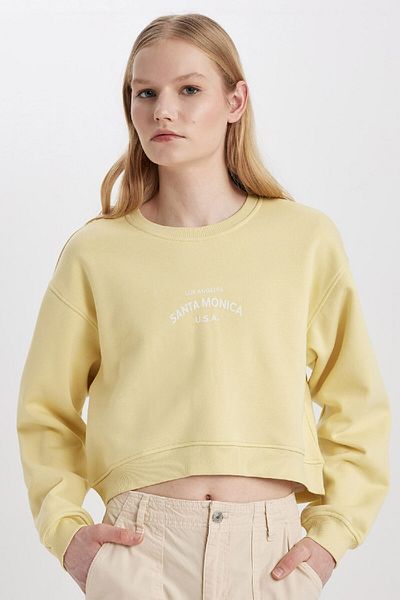 DeFacto Boxy Fit Rundhalsausschnitt bedrucktes dickes Sweatshirt C5385ax23cw