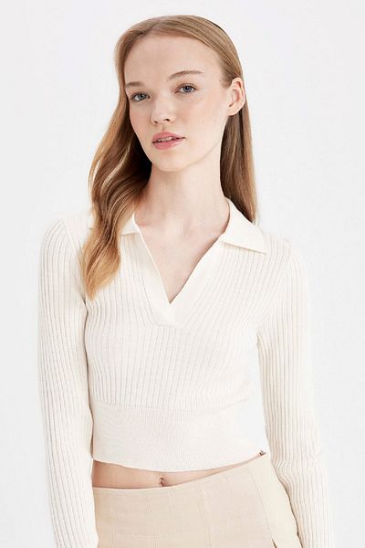 DeFacto Coool Slim Fit Slim Fit Polo Collar Crop Knitwear Sweater X4929Az24Au