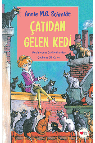 Can Çocuk Çatıdan Gelen Kedi