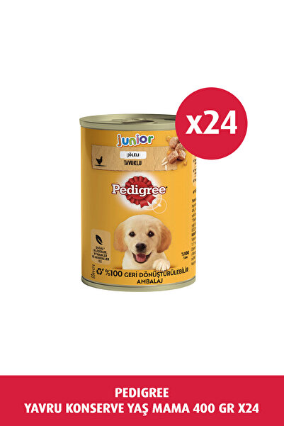Pedigree Yavru Konserve Yaş Mama 400 gr 24x