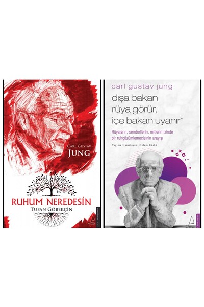 Destek Yayınları Dışa Bakan Rüya Görür İçe Bakan Uyanır-Ruhum Neredesin Carl Gustav Jung