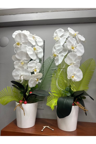 Orkide Yapay ıslak orkide