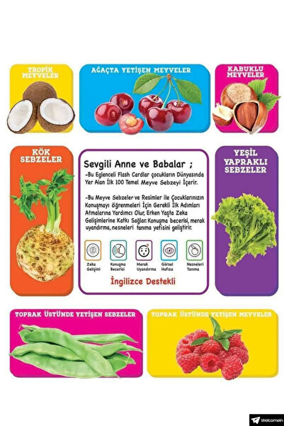 welcomein Bebeğim İçin İlk 100 Sebze Meyve Kelime Zeka Kartları Eğitici Yeni doğan Kartları