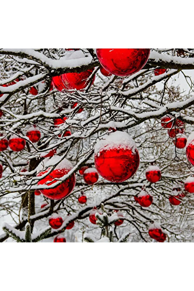 hediyeofisi 12 Pcs Christmas Pine Tree Ornament Gray Ball Silver Christmas Ball 4 cm 12 Pcs Tree Balls