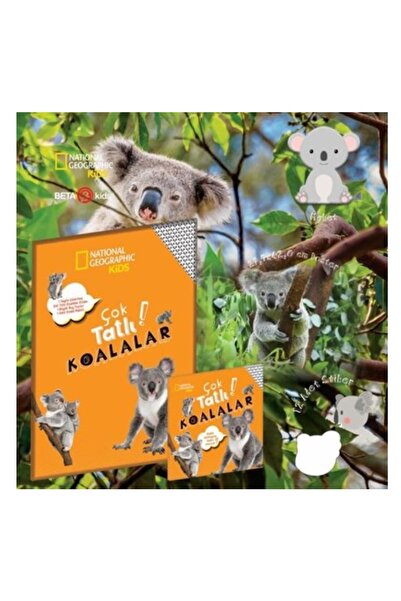 Beta Kids Çok Tatlı Koalalar