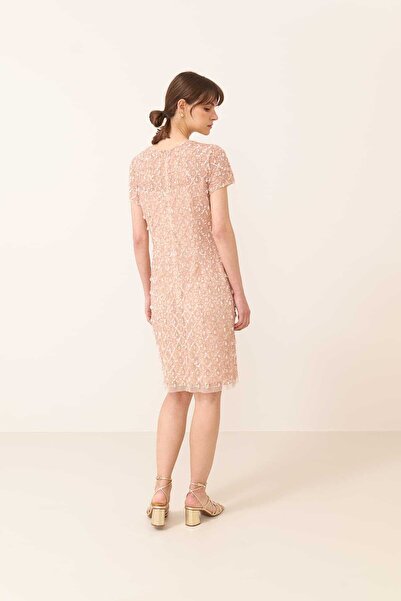 Roman Kısa Kollu Midi Boy Elbise Standart Renk Y2465103_089