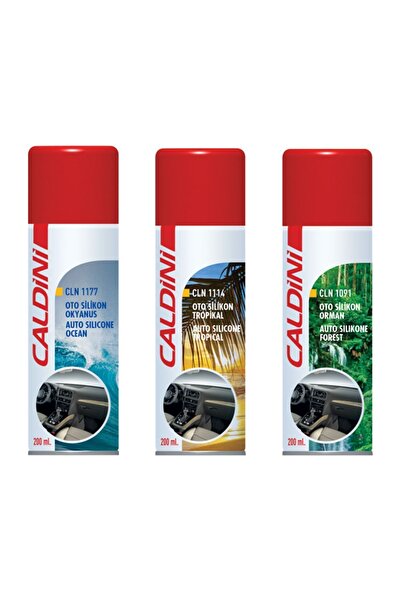 CALDİNİ OTO SİLİKON ORMAN 400 ML