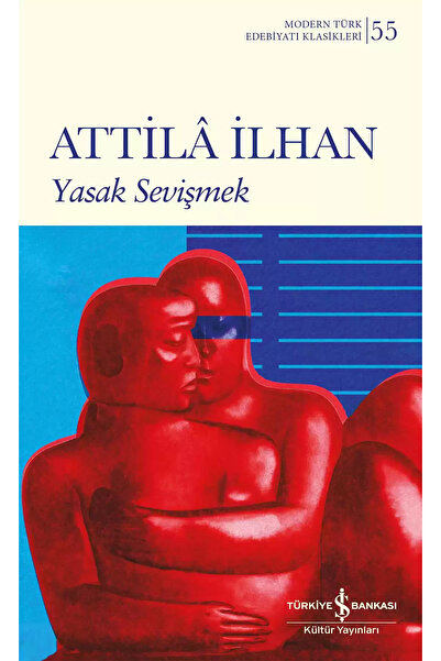 TÜRKİYE İŞ BANKASI KÜLTÜR YAYINLARI Yasak Sevişmek