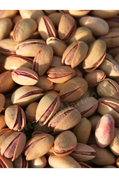 Özçiğdem Kuruyemiş Paketi 1