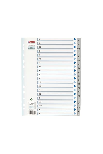 Bigpoint A-Z Letter File Organizer - Bookmark Separator for Cataloging Inside the Folder