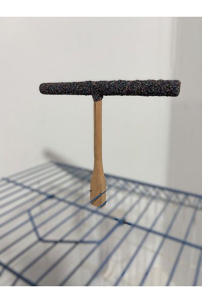 Wooden Bird Budgie Sanded T Perch