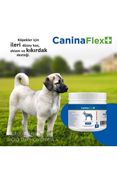 CANİNA FLEX Caninaflex Collagen Glukozamin 4adet.köpek Gelişim Seti.kemik Kas...